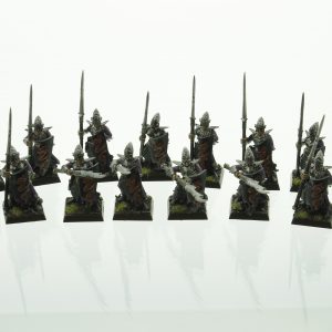 Dark Elves Warriors Spearmen