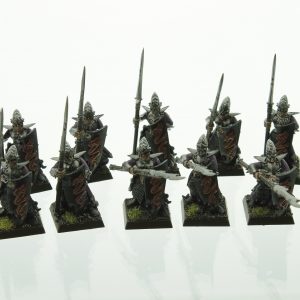 Warhammer Fantasy Dark Elves Warriors