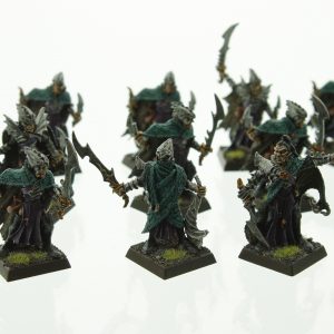 Warhammer Fantasy Dark Elves Corsairs
