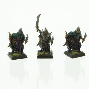 Warhammer Fantasy Dark Elves Corsairs
