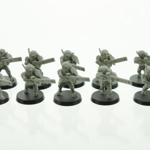 Tau Empire Fire Warrior Team