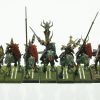 Warhammer Dark Elf Cold One Knights