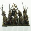 Warhammer Dark Elves Executioners