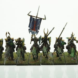 Warhammer Dark Elves Cold One Knights
