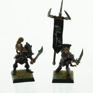 Warhammer Dark Elves Command Standard Bearer Musician