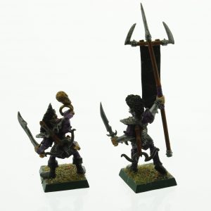 Warhammer Dark Elves Command Standard Bearer Musician