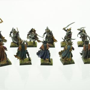 Warhammer Dark Elves Black Ark Corsairs