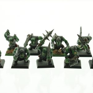 Warhammer Orcs & Goblins Warriors Regiment