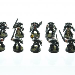 Warhammer 40K Space Marines Black Templars Squad