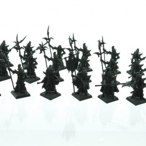 Warhammer Fantasy Dark Elf Black Guard