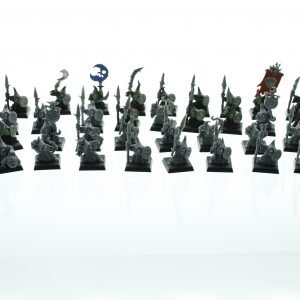 Warhammer Battle for Skull Pass Goblins