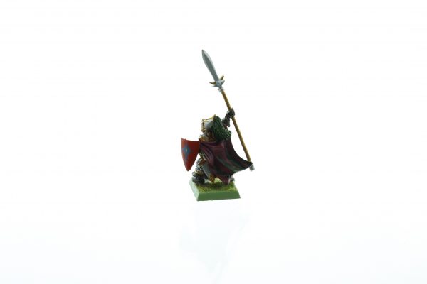 High Elf Hero with Spear