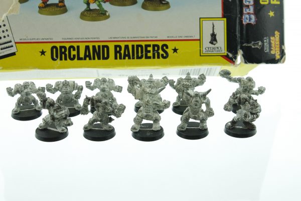 Bloodbowl Orcland Raiders