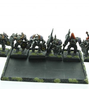 Chaos Warriors Regiment