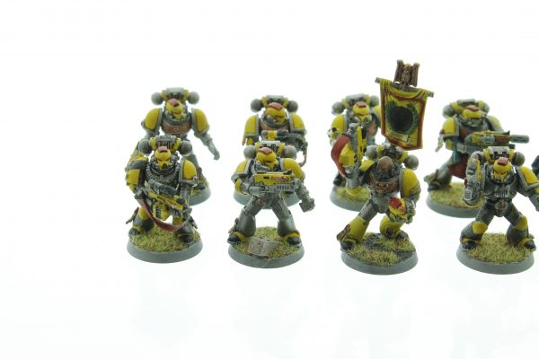 Imperial Fists Tactical Squad