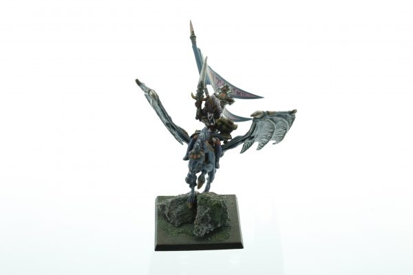 Dark Elf Sorceress on Dark Pegasus