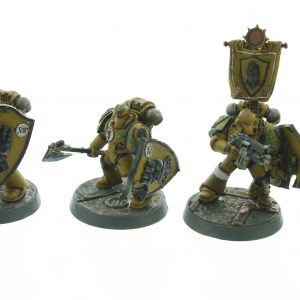 Imperial Fists Phalanx Warder Squad