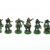 Classic Cadian Shock Troops