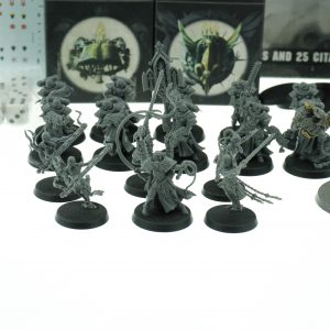 Limited Edition Sisters of Battle Army Box