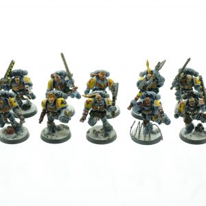 Space Wolves Tactical Squad