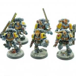 Space Wolves Tactical Squad