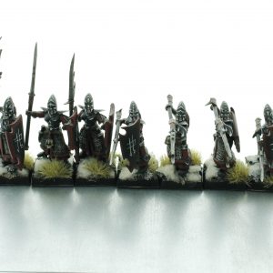 Dark Elf Spearmen Regiment