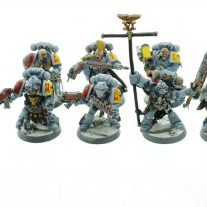 Space Wolves Squad