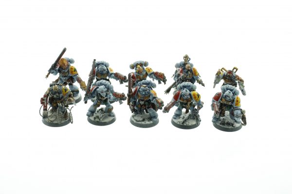 Space Wolf Tactical Squad