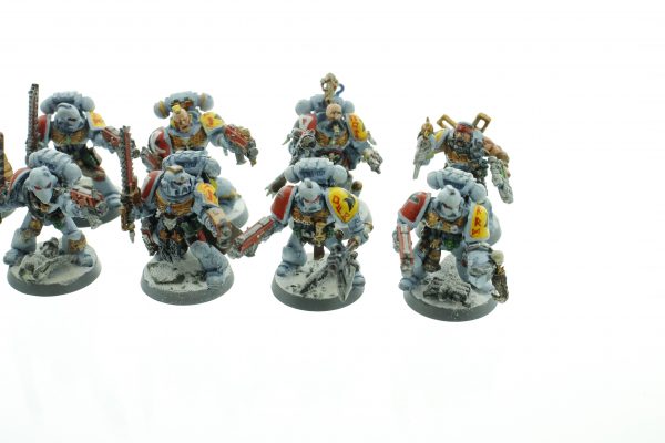 Space Wolf Tactical Squad