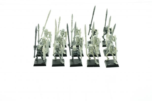 Tomb Kings Skeleton Warriors