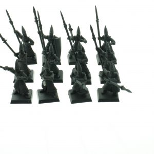 High Elf Warriors Regiment