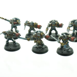 Grey Knights Strike Squad Metal