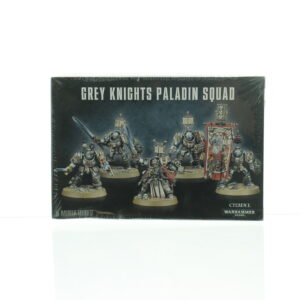 Grey Knights Paladin Squad