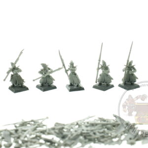 Dark Elf Warriors Regiment