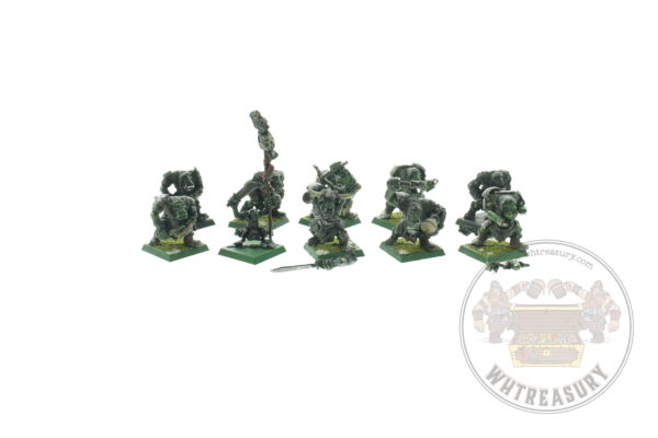 Dogs of War Ruglud's Armoured Orcs