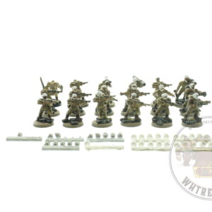 Imperial Guard Tallarn Desert Raiders